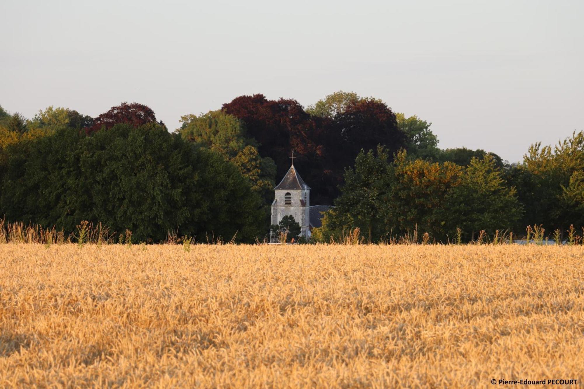 La Grange Aux Tommies - Pays Du Coquelicot Villa Bus-les-Artois Exteriör bild