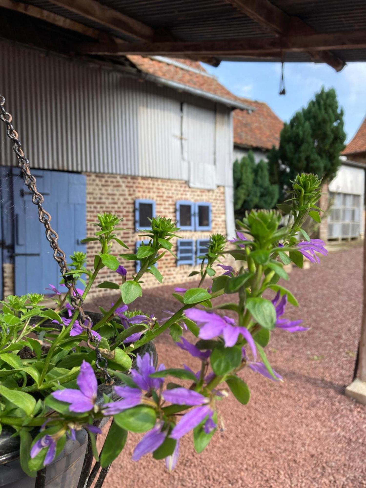 La Grange Aux Tommies - Pays Du Coquelicot Villa Bus-les-Artois Exteriör bild